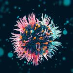 Blog Achou e Levou - Hantavirus