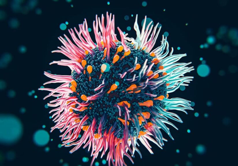 Blog Achou e Levou - Hantavirus
